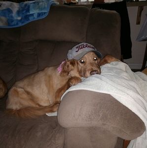 Meet your Posher, Lenny